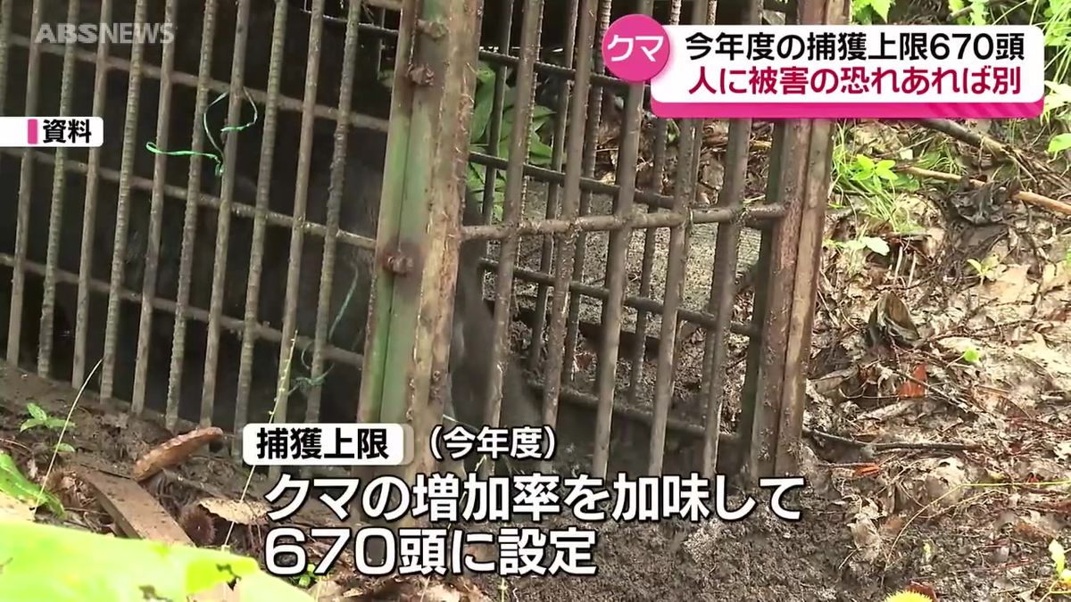 今年度のクマの捕獲上限は670頭に 