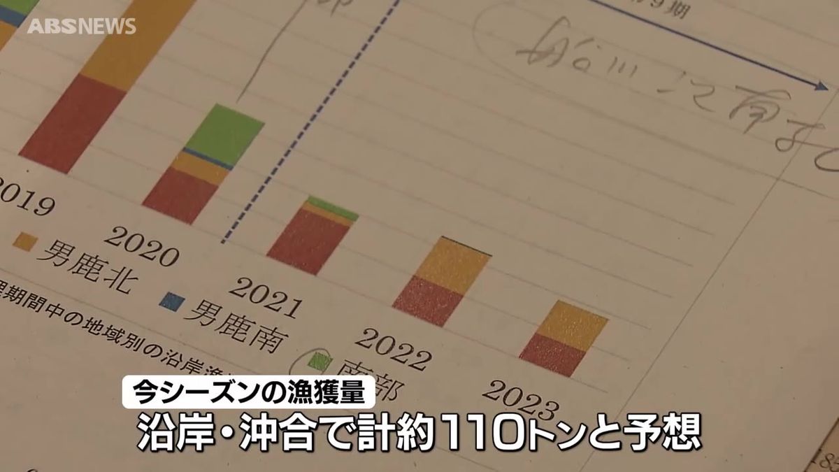 今季のハタハタ漁　記録的な不漁となった昨季並みの漁獲量になると予想