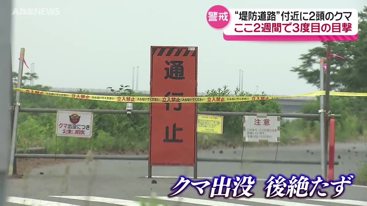 秋田市新屋の住宅街でクマ目撃 2週間で3度目（2024年5月24日掲載