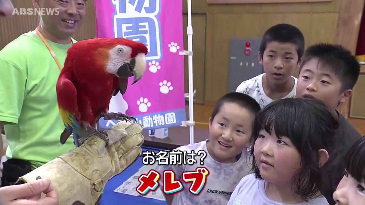 動物や海の生き物が小学校に出張！ 触れあいながら命の大切さを学ぶ