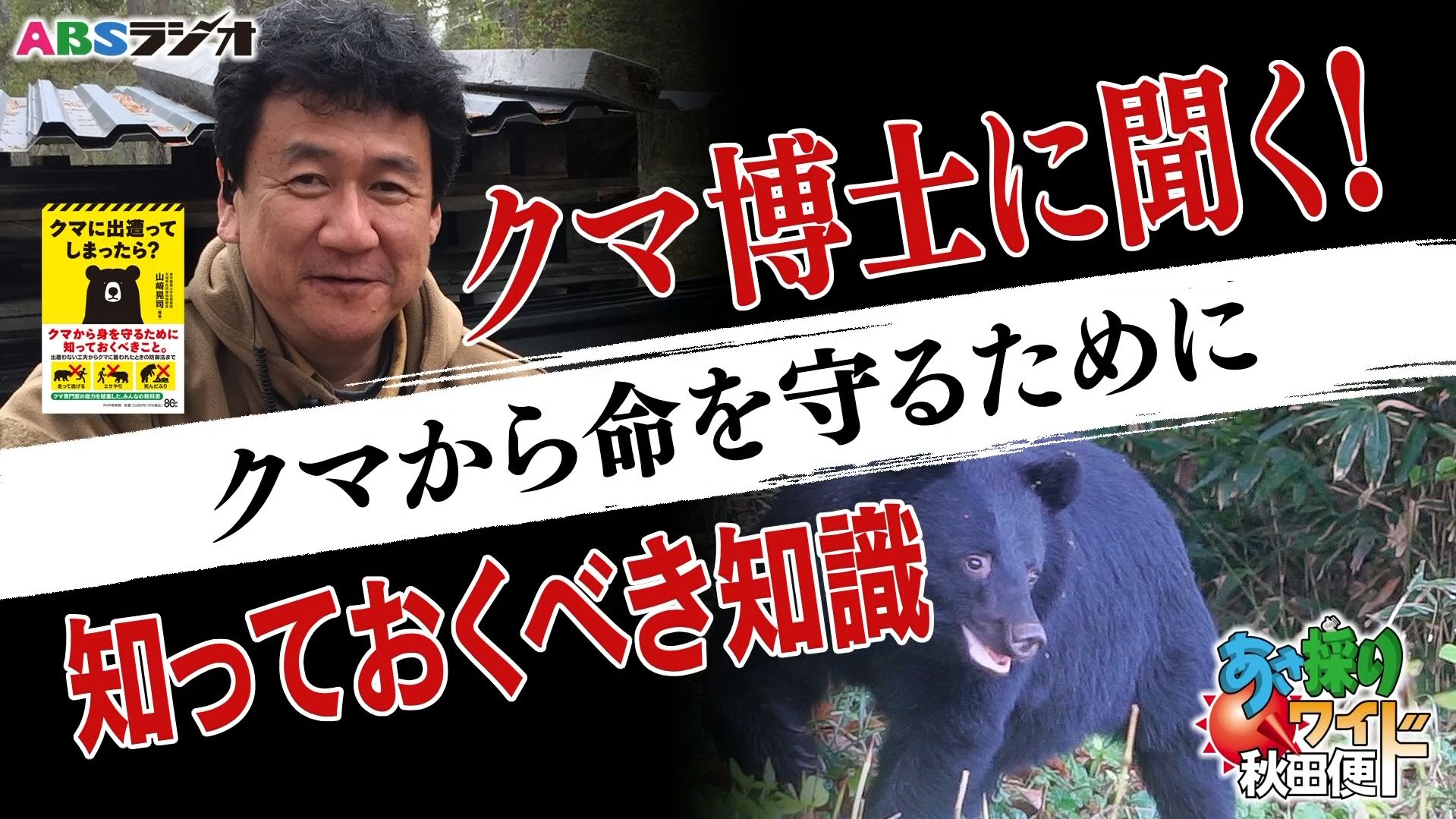 2ページ目 「クマを多角的に知る…ということ・シーズン2」 もし、クマ