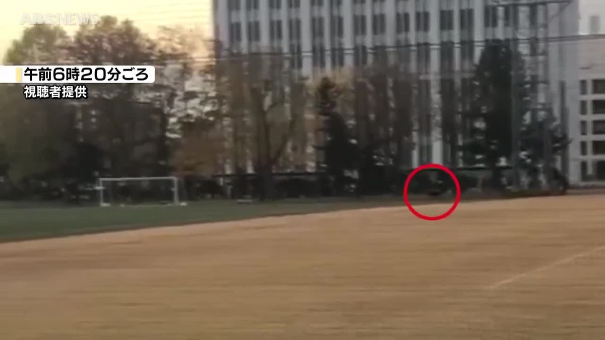秋田市の官庁街近くでクマの目撃相次ぐ イヌの散歩中の男性が走り回る 