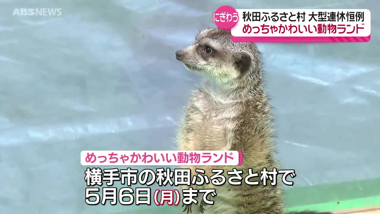 かわいい動物大集合！恒例のイベントにぎわう（2024年5月1日掲載