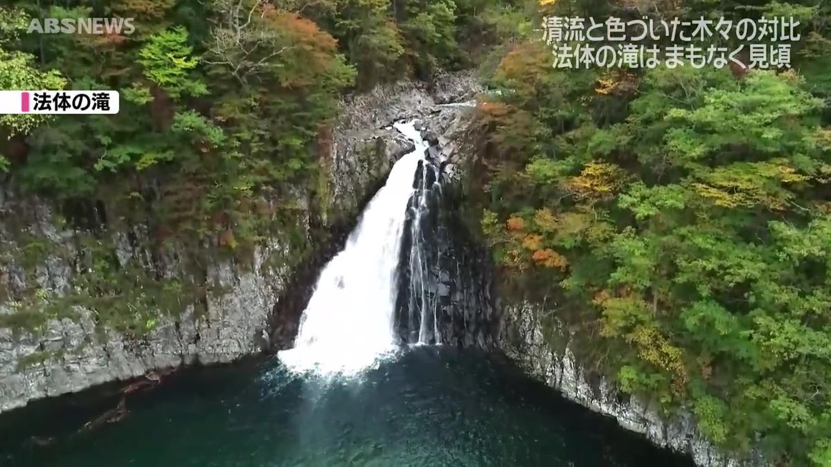 間もなく見ごろ　名所・法体の滝の紅葉　県の内外から多くの観光客