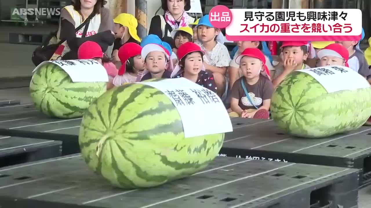 こんなに大きくなるとは…」スイカの重さ競うジャンボスイカコンクール