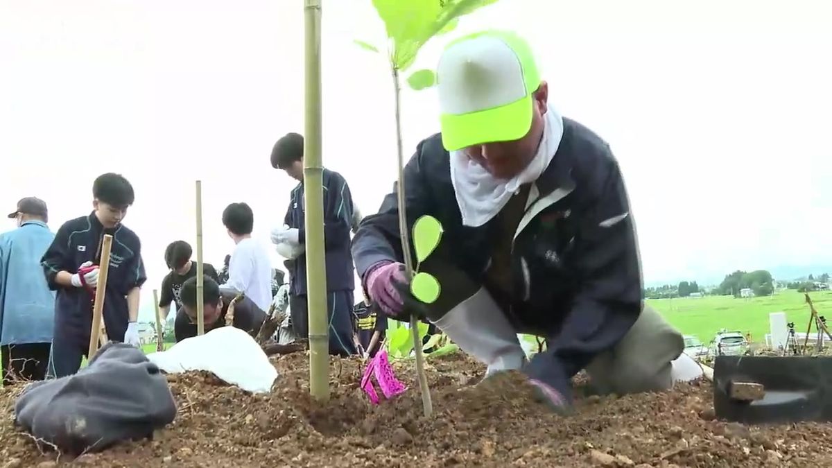 「生薬の里」でホオノキ植樹