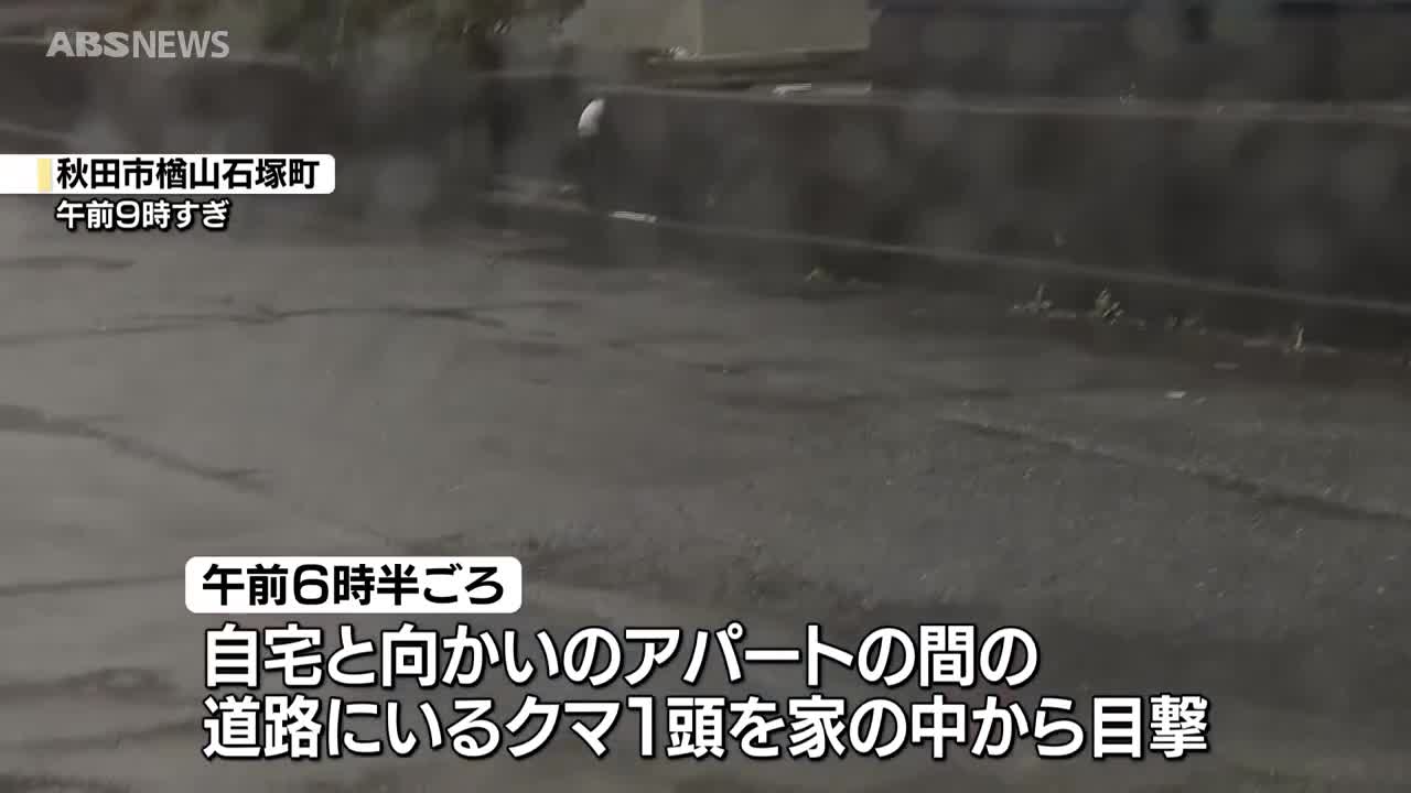 森のクマ　川崎市幸区までの配達代 秋田市の一つ森公園近くの住宅街でクマ目撃 手形山配水場の近くでも 県
