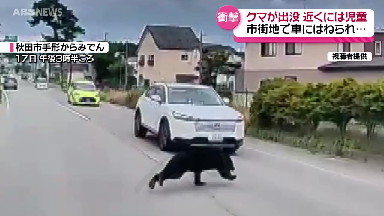道路に飛び出したクマが車にはねられる 近くには下校中の児童も