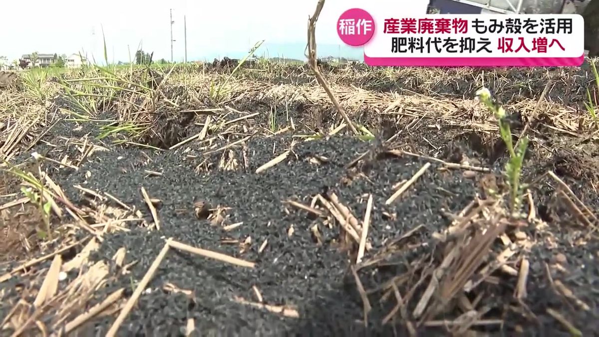 肥料代を抑えながら新たな収入を　イネのもみ殻から作った「バイオ炭」を肥料にしたコメづくりの実証実験　秋田・大仙市