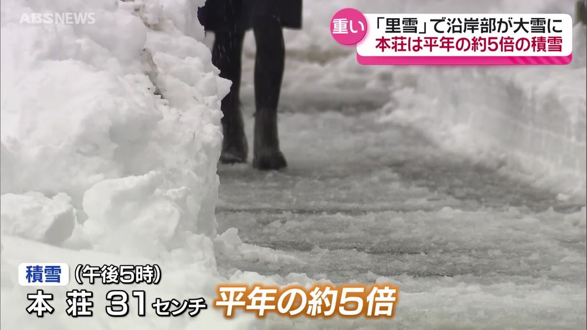 沿岸部で大雪  由利本荘市中心部では平年の約5倍の積雪  峠は超えるも19日もふぶくところも