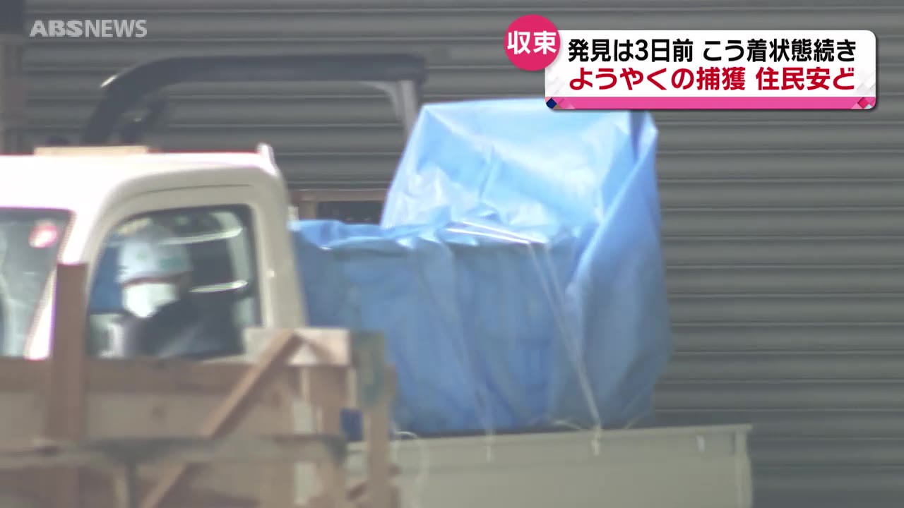 秋田市の会社倉庫に”居座り”のクマ ようやく捕獲（2024年2月9日掲載