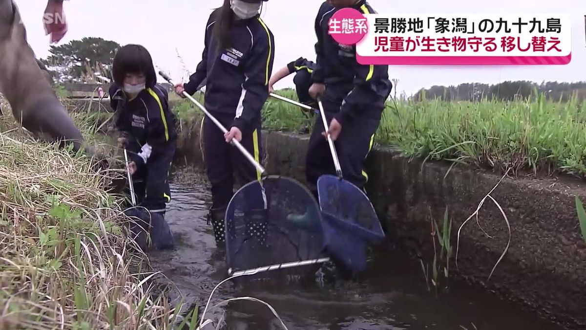 住む場所のなくなるメダカやカニを小学生がため池に移し替え にかほ市