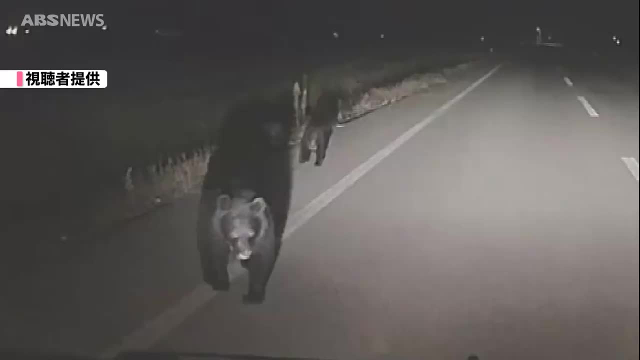 視聴者提供】クマ3頭が道路を横断 そのまま去るように見えた次の瞬間