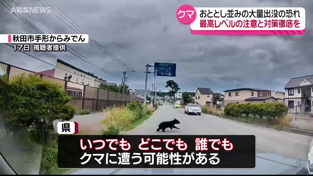 クマ大量出没のおそれ…「いつでも」「どこでも」「誰でも」クマと遭遇