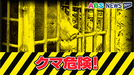 三種町鹿渡でクリの木に登るクマ 体長は約70センチ 警察が住民に注意を