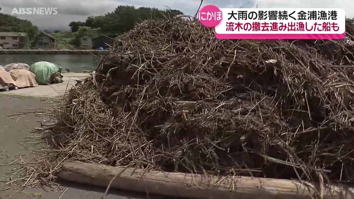 大雨による大量の流木の撤去に追われた金浦漁港の今