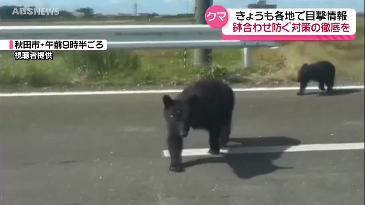 5日連続でクマの人身被害 秋田市で散歩中の男性(73)が…9日夜は帰宅途中 