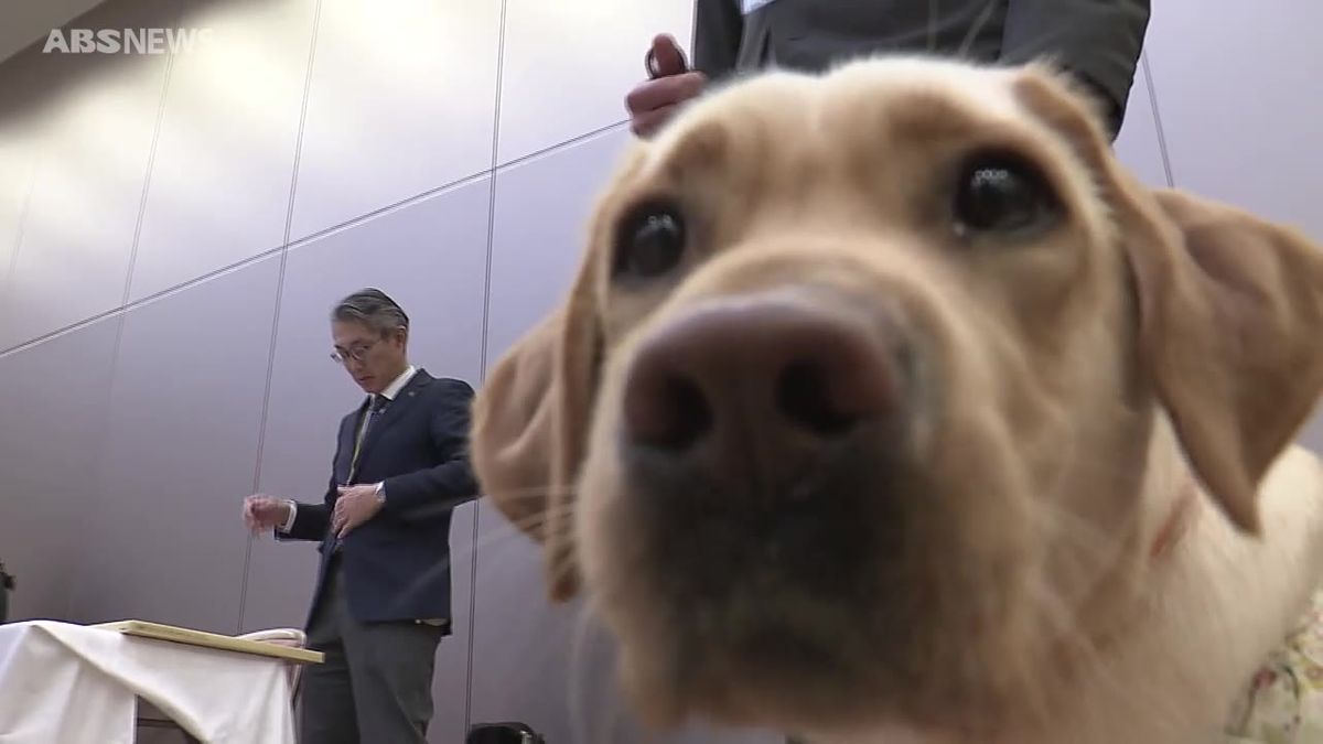 生活をサポートする「身体障害者補助犬」の育成に役立てて…秋田県内のNPO法人が240万円を寄付