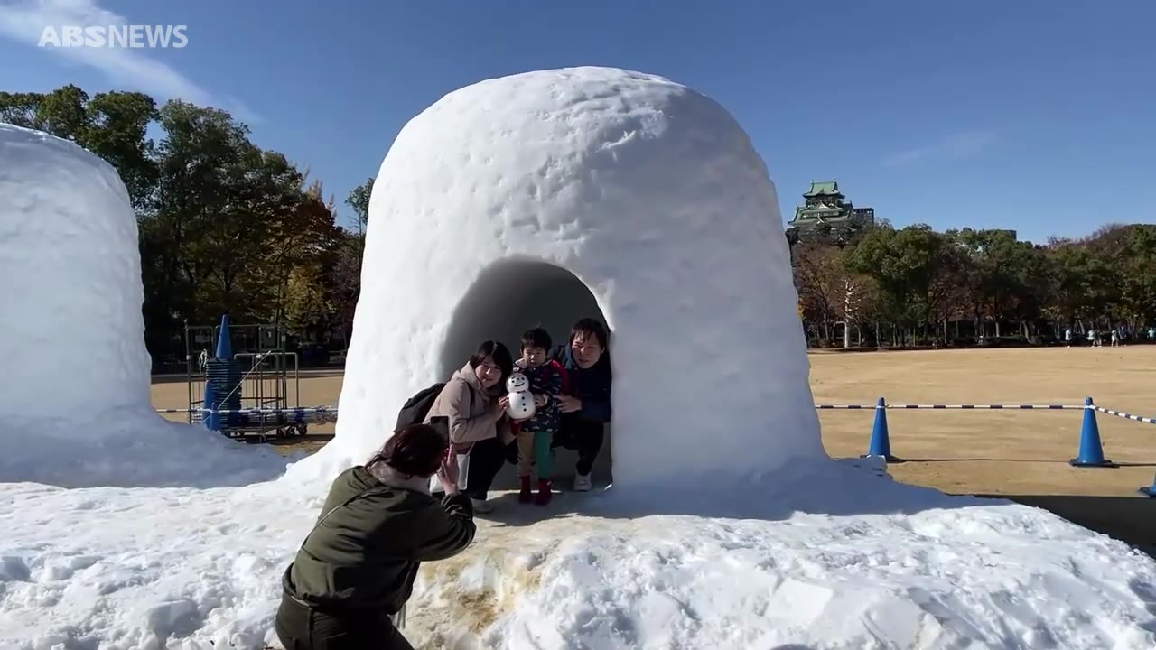 大阪城公園でかまくら 多くの家族連れが楽しむ（2024年12月7日掲載