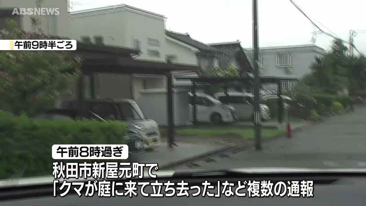 住宅地で連日のクマ目撃　11日朝は新屋元町で