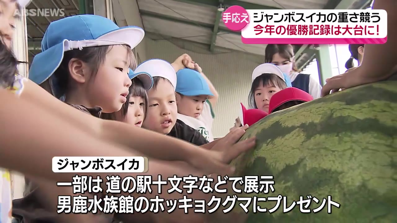 優勝記録は100キロ超え！恒例の「ジャンボスイカコンクール」開催 横手