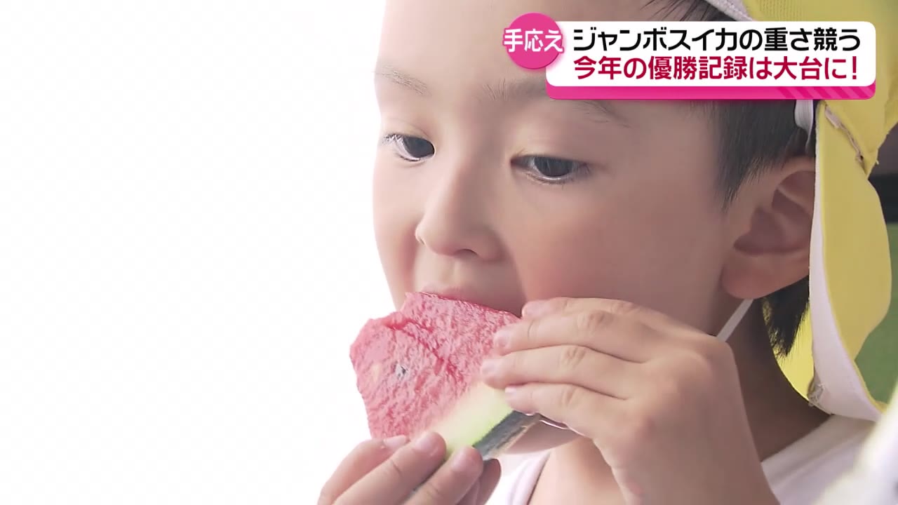 優勝記録は100キロ超え！恒例の「ジャンボスイカコンクール」開催 横手