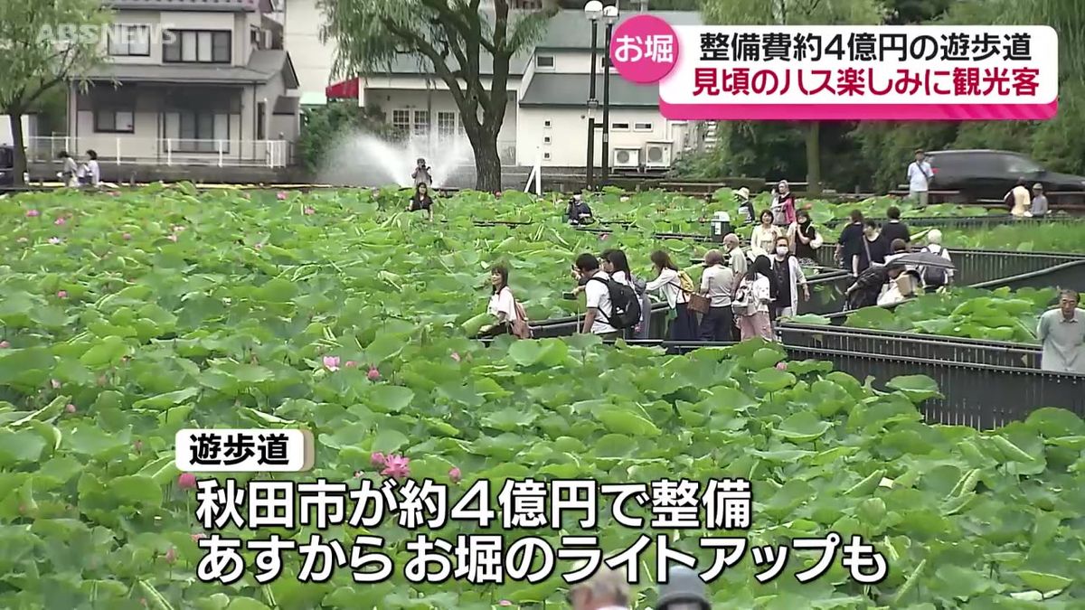 千秋公園のお堀の遊歩道完成　ハスも見ごろ　園児「日本のみんなで渡りたい」