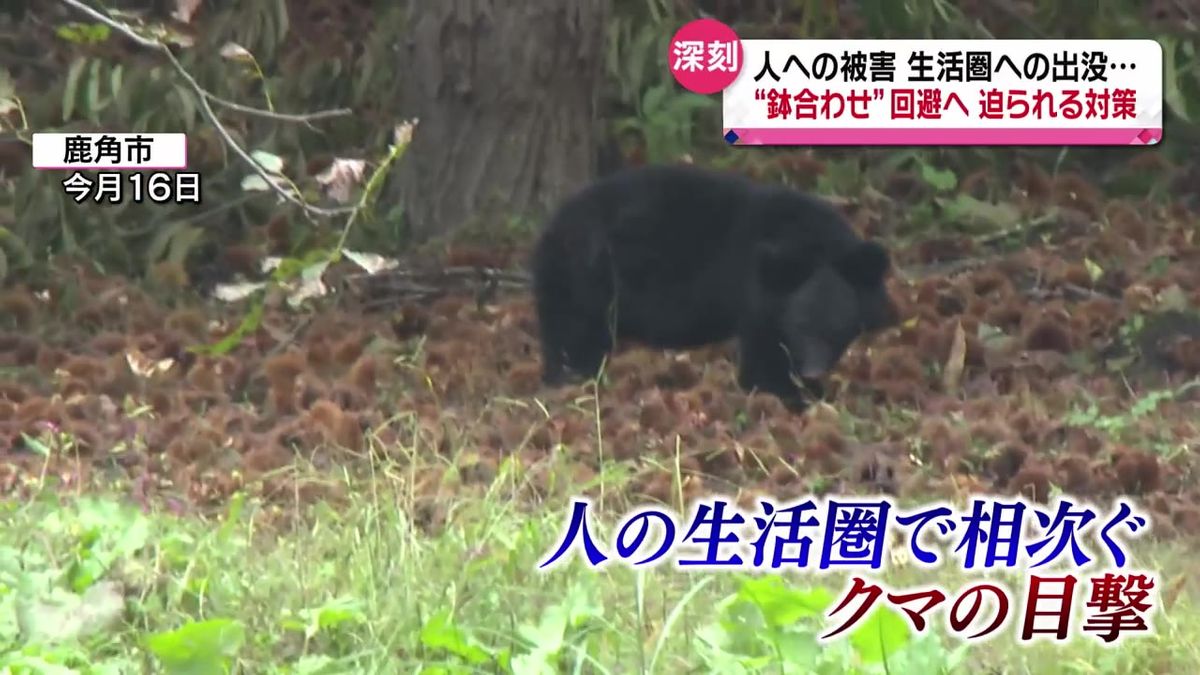 被害相次ぐ中　県内各地で行われるクマ対策
