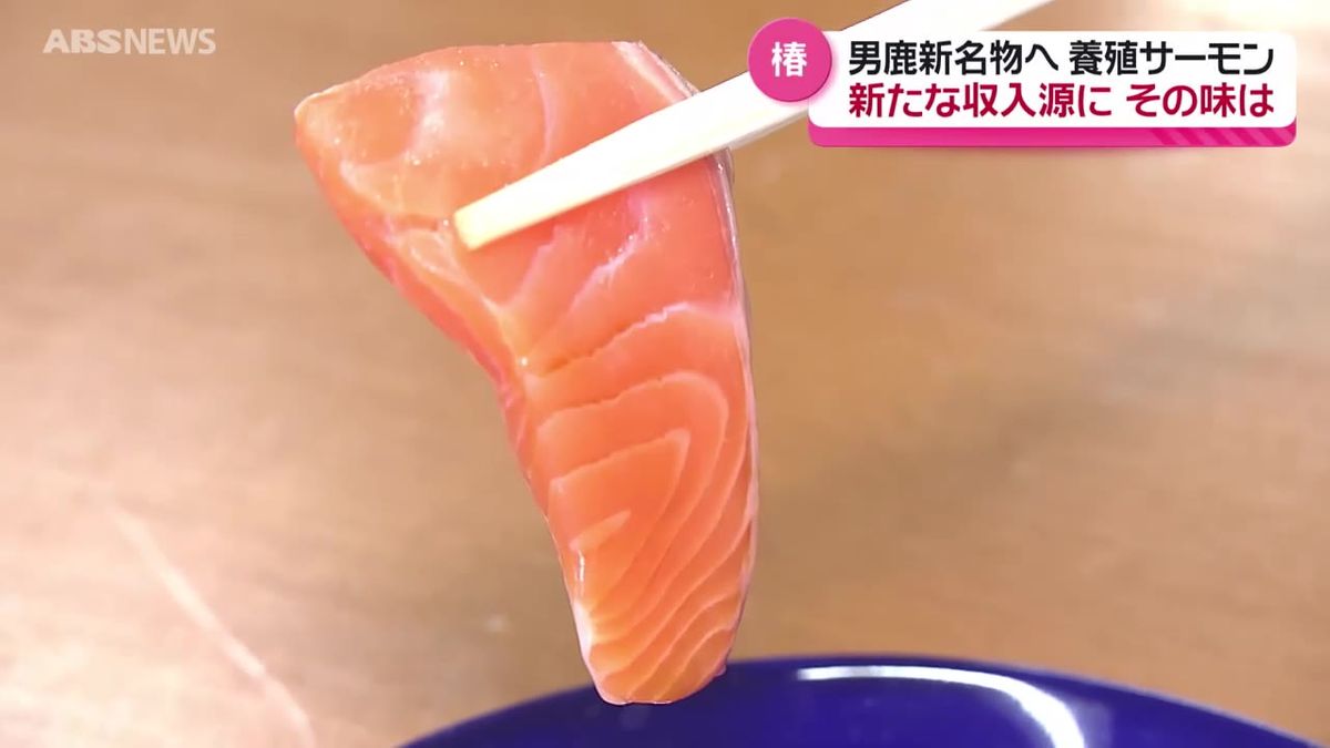 養殖サーモンを男鹿の新たな名物に！その名も「男鹿つばきサーモン」　24日から今シーズンの水揚げスタート　男鹿市