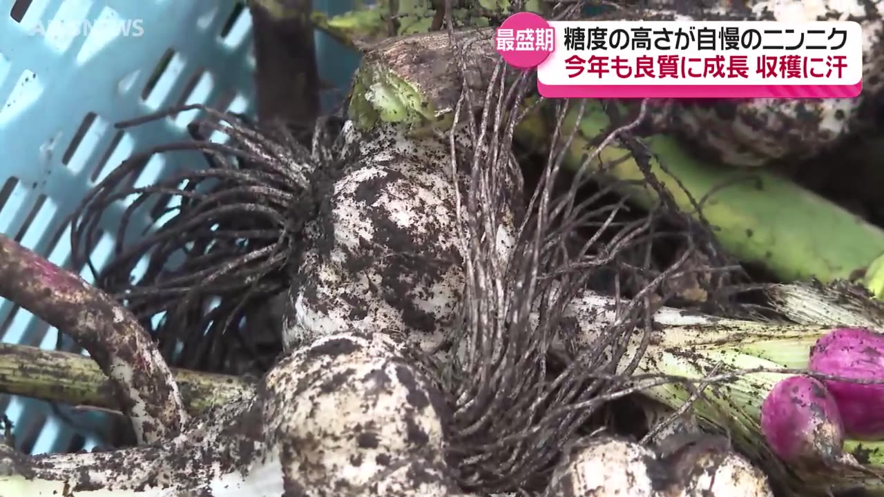 こだわりの