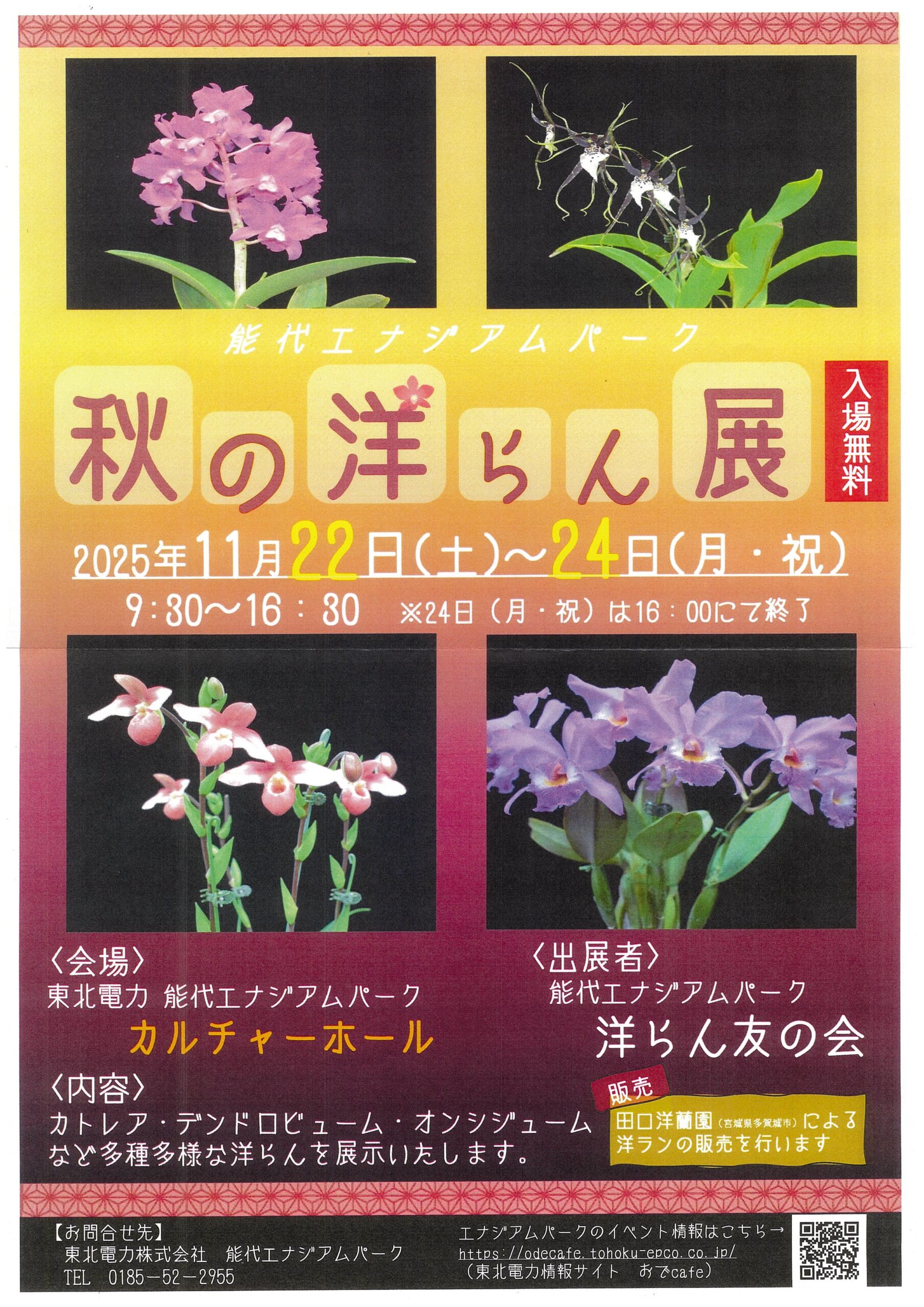 能代市で洋ランの展示会 友の会メンバーが丹精して育てた約80種 22日