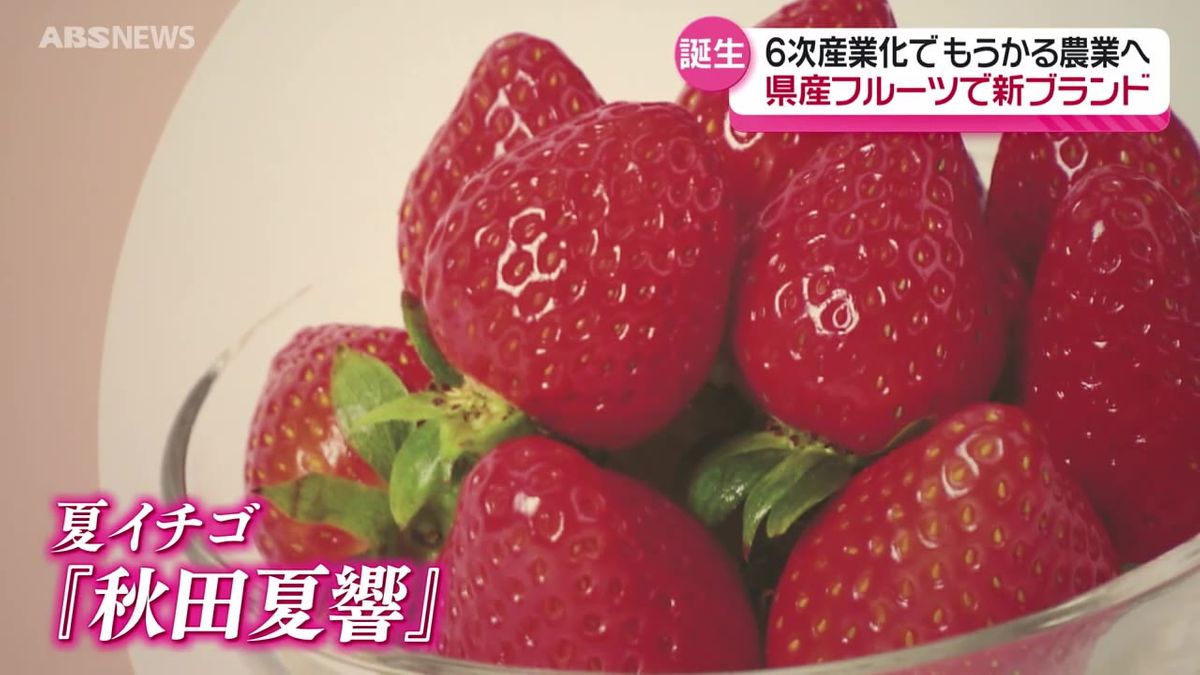 「儲かる農業」の推進へ！秋田県産フルーツを使った菓子と加工品の新ブランド誕生　第一弾の原材料は夏イチゴ