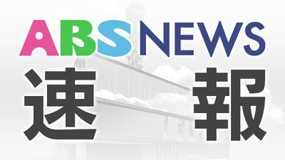 【速報】プーチン大統領から秋田県知事に贈呈のシベリア猫「ミール」病死