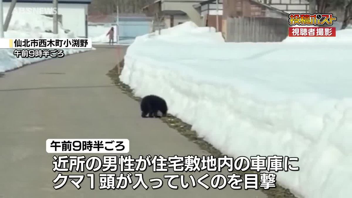 仙北市の住宅車庫にクマ1頭が侵入しその後捕獲 けが人なし