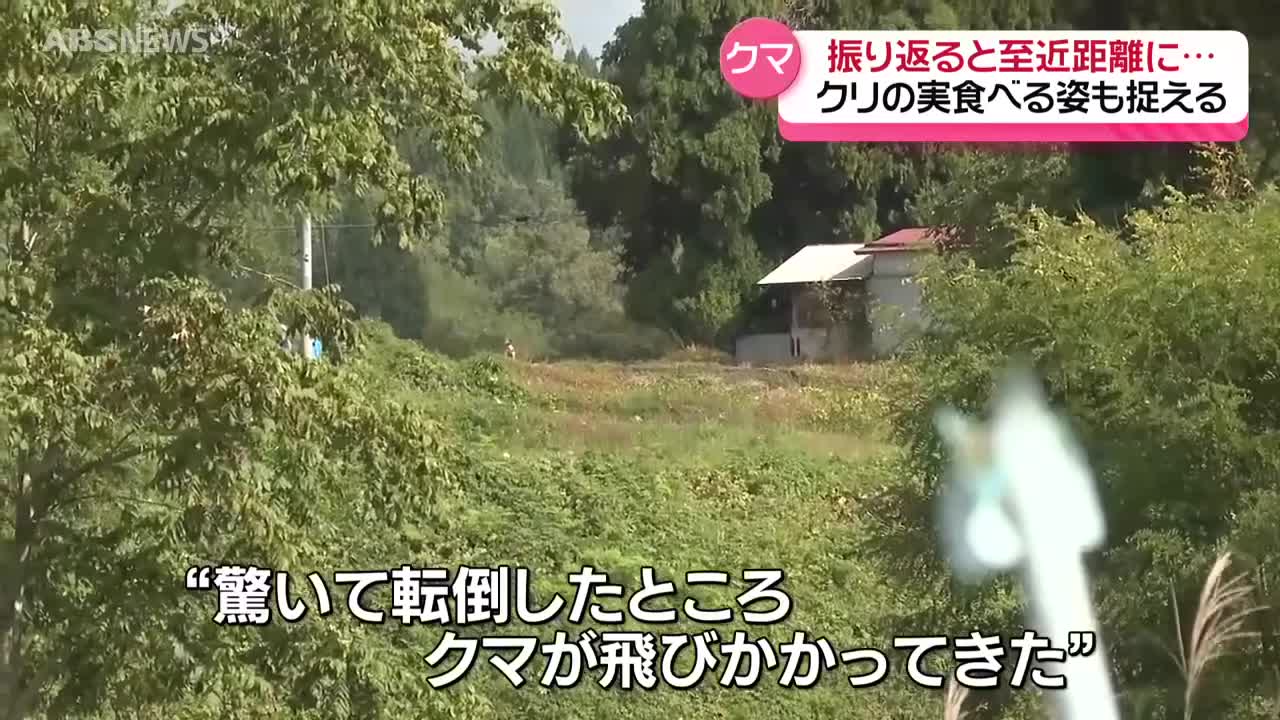 農作業中の男性(71)がクマに襲われけが 襲ったクマは3頭で行動か 現場