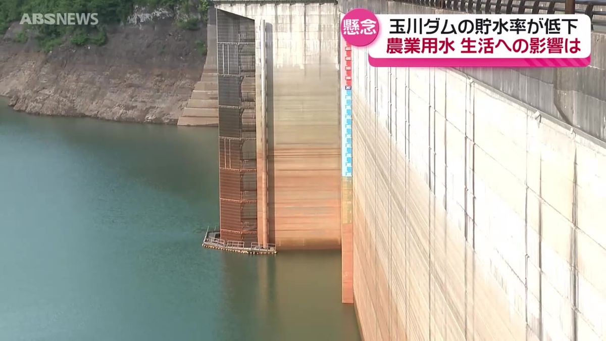 玉川 ダム 貯水 率