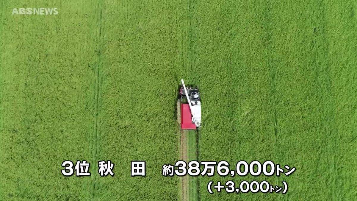 主食用米の収穫量　全国3番目の約38万6000トン