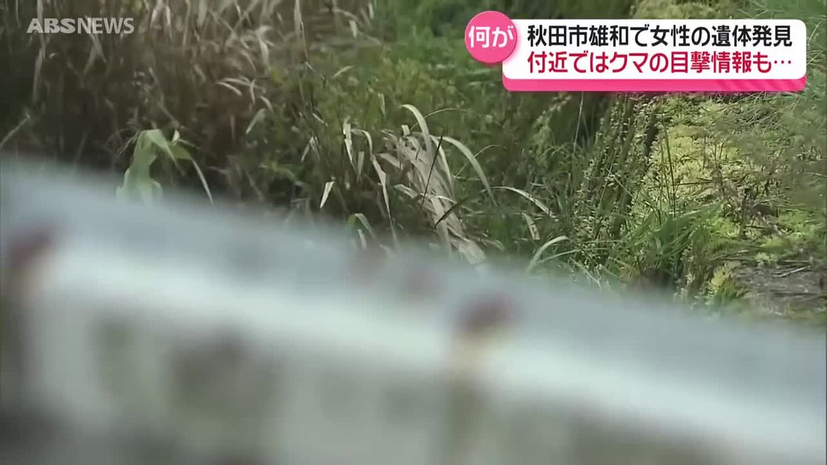 損傷 が 激しい 遺体