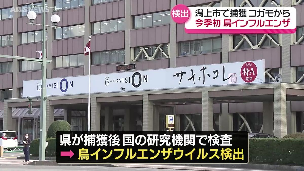 今シーズン県内初の鳥インフルエンザウイルス検出　潟上市で捕獲の野鳥から