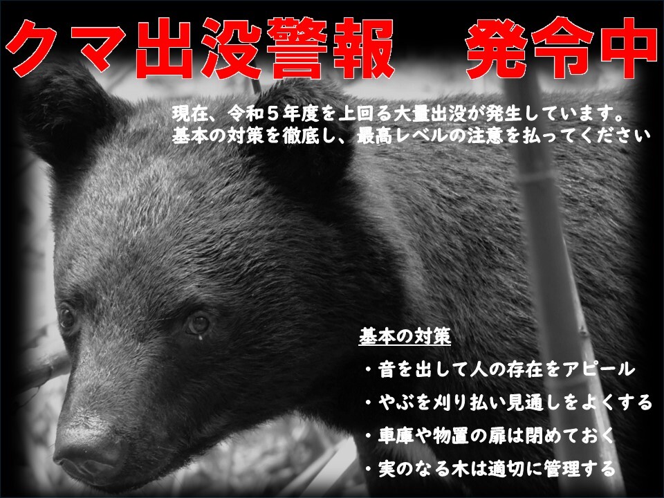 県がツキノワグマ出没警報を12月31日まで再延長 冬眠の季節に入るも