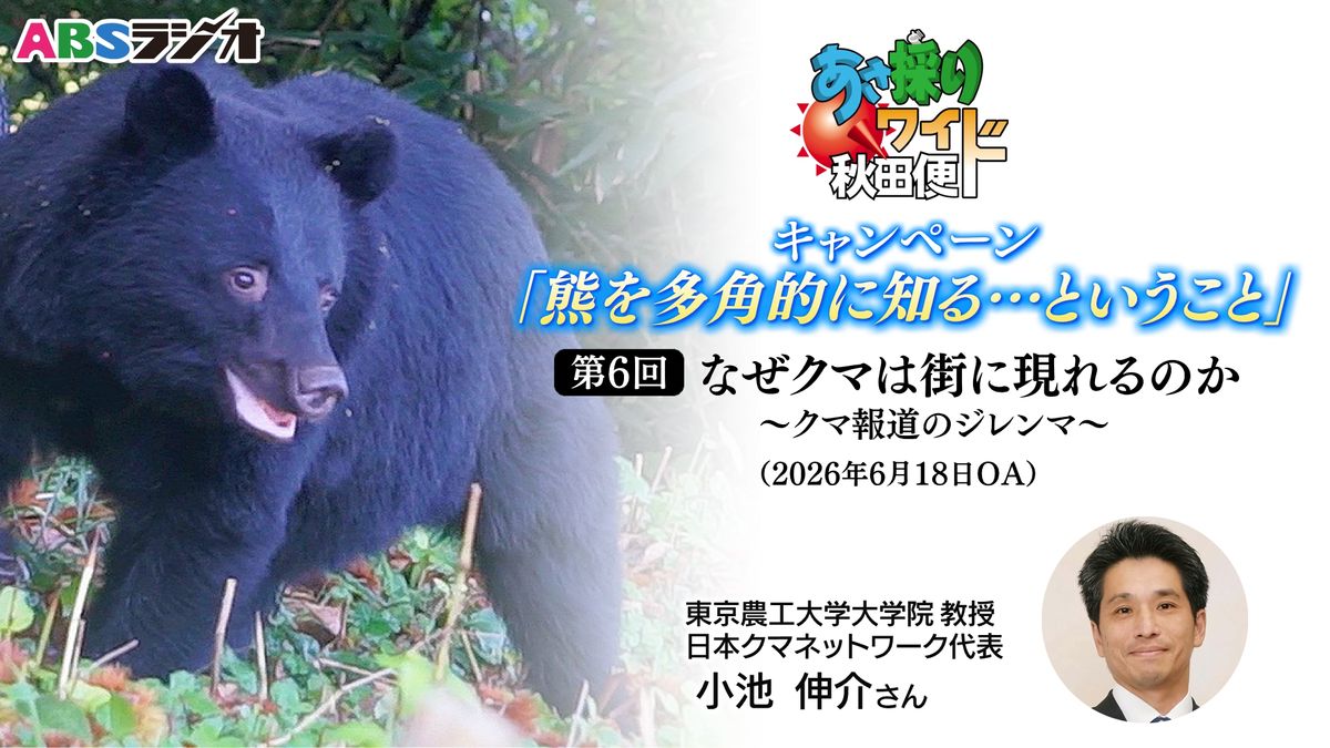 警戒心が強い？学習能力が高い？臆病？緊張感がない？クマという動物と 