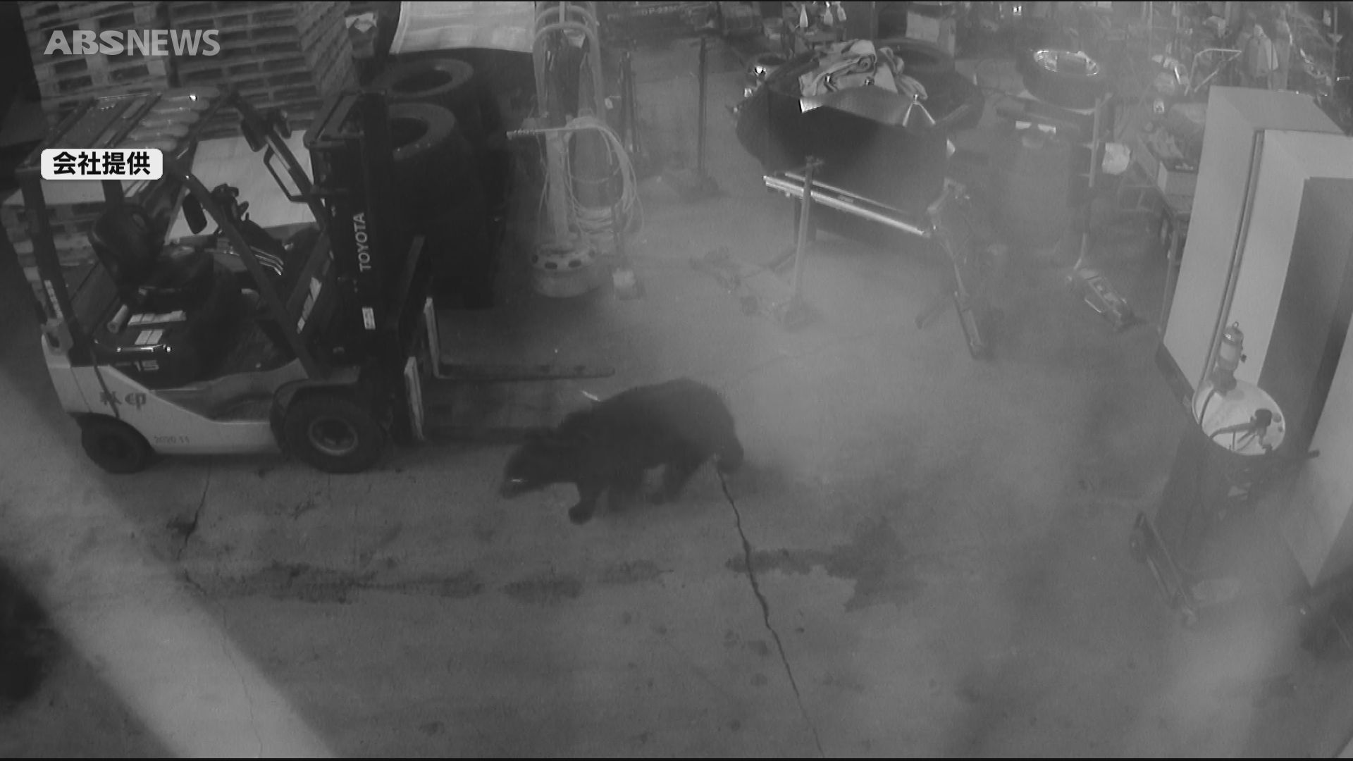 映像あり】捕獲したクマを搬出 卸売市場の倉庫内に約28時間とどまる
