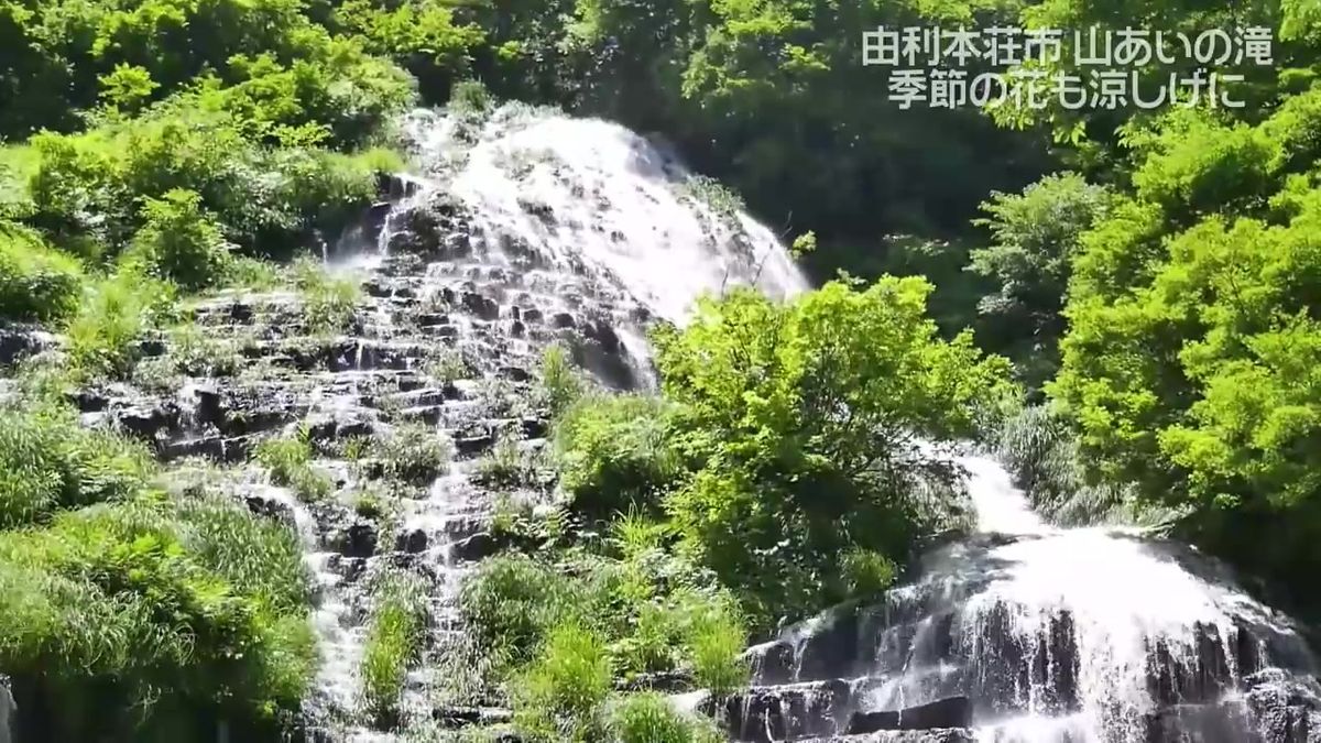 秋田県内も夏本番へ…涼しげな滝の映像をノーナレで