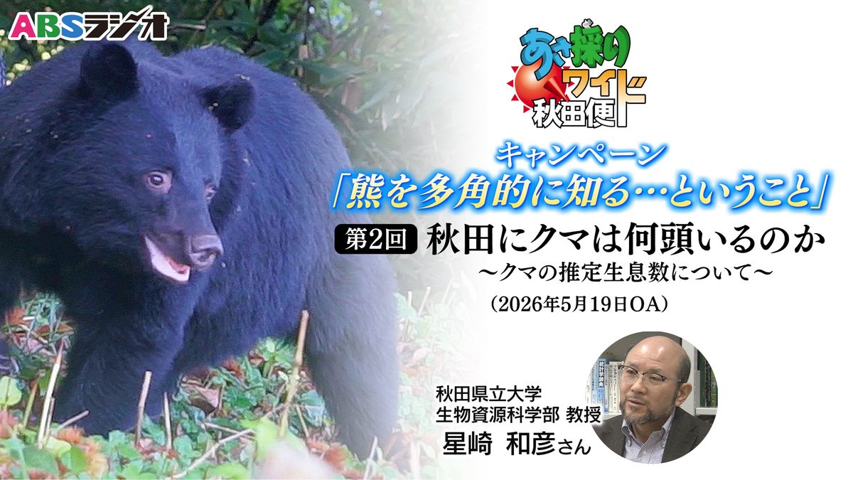 秋田 県 熊