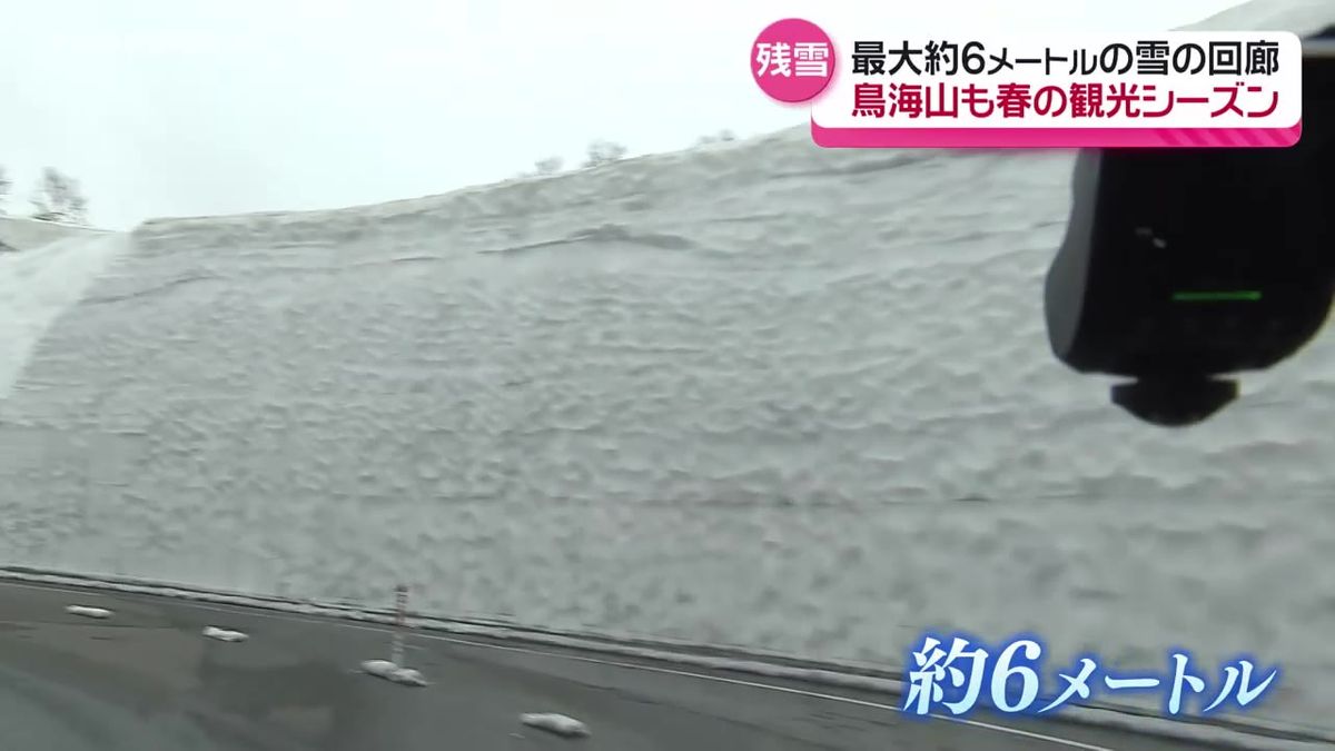 春の観光シーズンへ！秋田と山形を結ぶ「鳥海ブルーライン」開通　雪の回廊は来月中旬ごろまで　秋田県