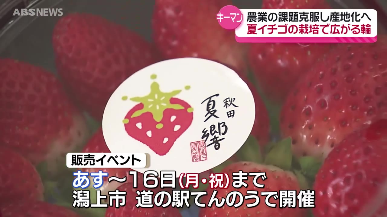 特集】新たな特産品へ「夏イチゴ」NTT東日本の子会社も栽培…なぜ