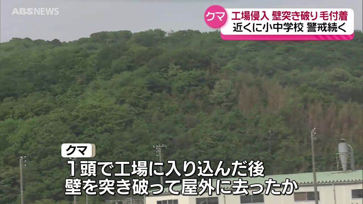 由利本荘市の製材工場に入り込んだクマ　壁を突き破り屋外に　市や警察が付近住民に警戒を呼びかけ