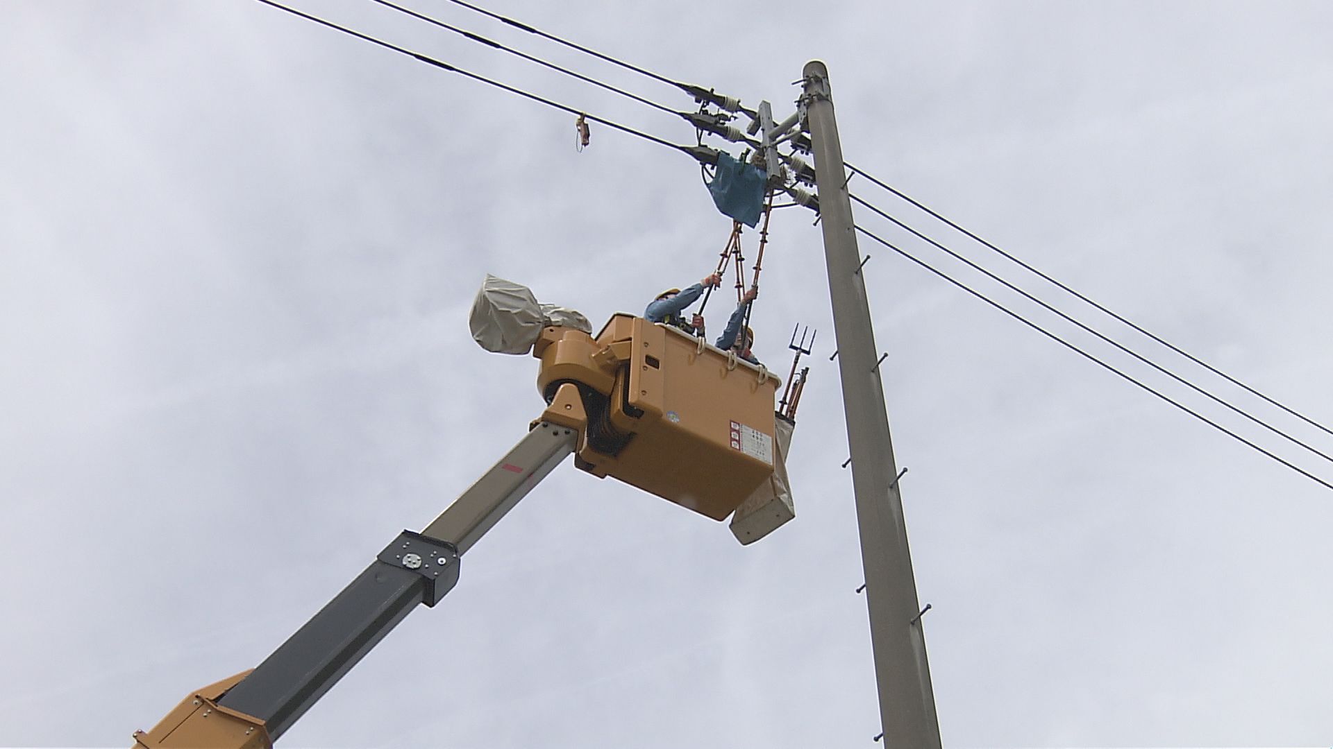 9小鳥の巣の電tw1 9小鳥の巣の電tw1 9小鳥の巣の電tw1