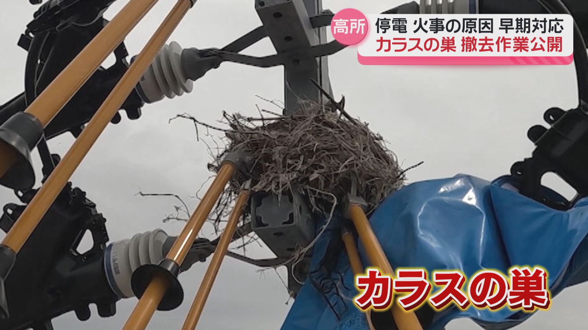 電柱のカラスの巣