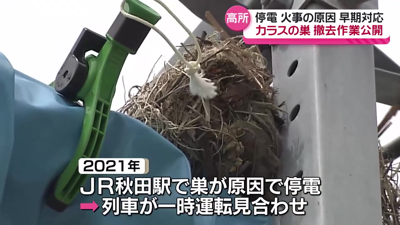 小鳥の巣の電tw12 野鳥用巣箱寝床 野鳥の餌台 木制 鳥小屋 動物用ハウス 鳥の巣箱
